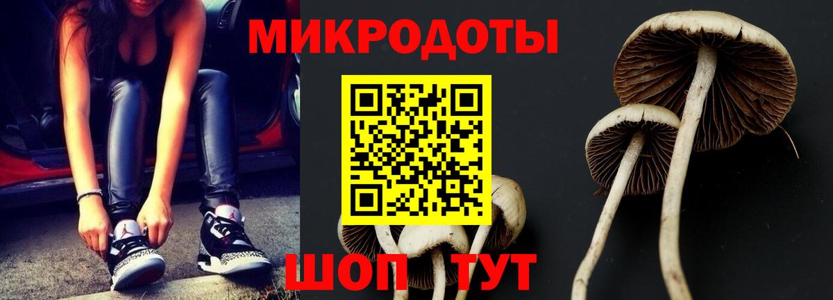 Галлюциногенные грибы Magic Shrooms  Вход с VPN  Малгобек 